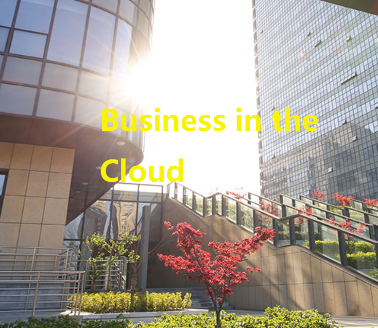 Cloud Computing（Business in the Cloud） 云计算
