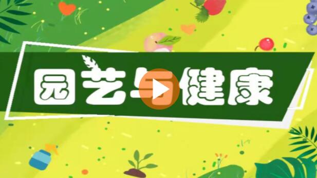 园艺与健康